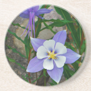 Blue columbine coaster