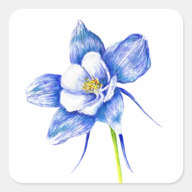 Blue Columbine Flower Square Sticker (Front)