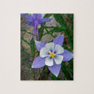 Blue columbine jigsaw puzzle