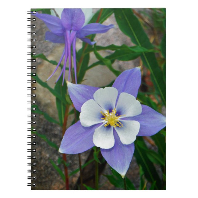 Blue columbine spiral notebook (Front)