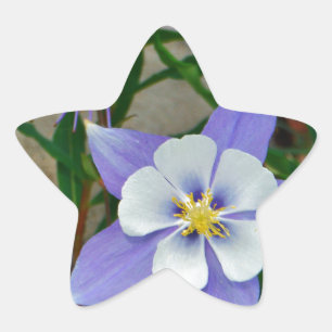 Blue columbine star sticker