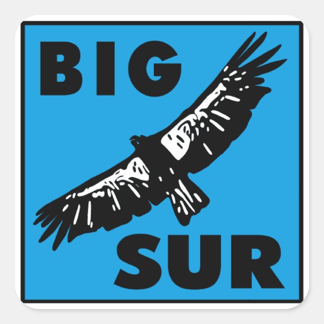 Blue Condor Square Sticker (Front)