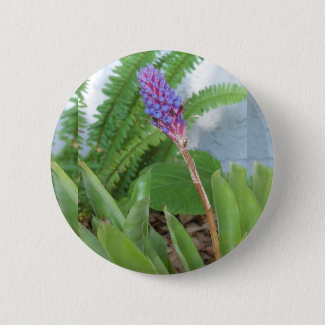 Blue Cone Bromeliad flower 6 Cm Round Badge (Front)