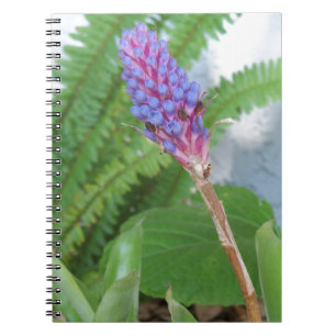 Blue Cone Bromeliad flower Notebook