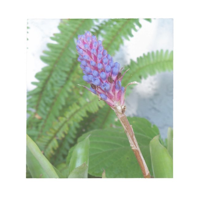 Blue Cone Bromeliad flower Notepad (Front)