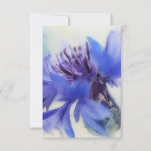 Blue Cornflower Button Flower Art Flat Note Card