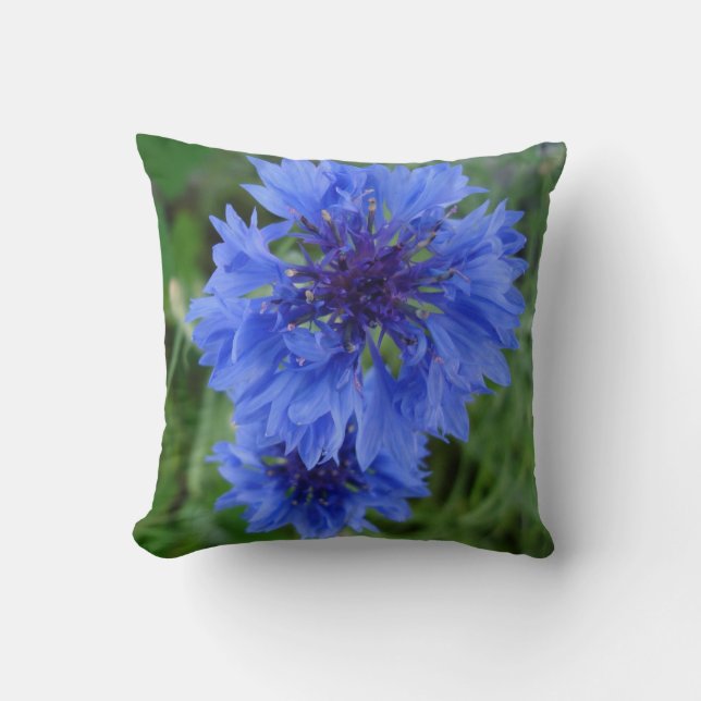 Blue Cornflower Cushion (Front)