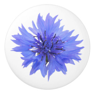 blue cornflower door knob