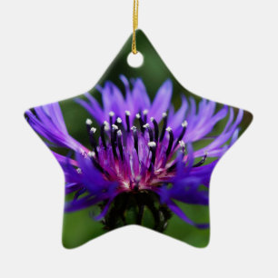 Blue Cornflower Flower Blossoms Peace Love Destiny Ceramic Tree Decoration