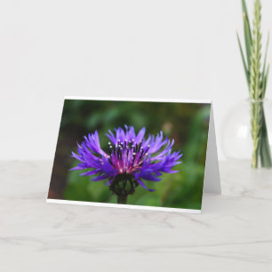 Blue Cornflower Flower Blossoms Peace Love Destiny Thank You Card