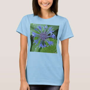 Blue Cornflower Ladies T Shirt
