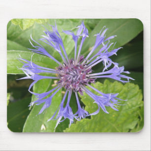 Blue Cornflower Mousepad