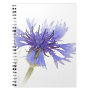 Blue Cornflower Photo - Spiral Notebook
