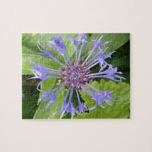 Blue Cornflower Puzzle