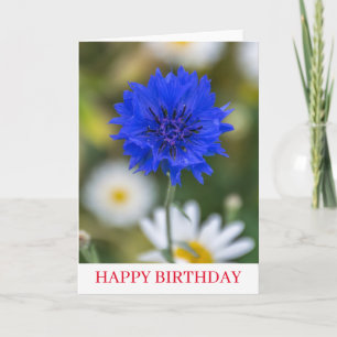 Blue cornflower up close birthday card