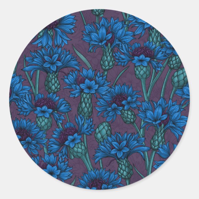 Blue cornflowers, wild flowers classic round sticker (Front)