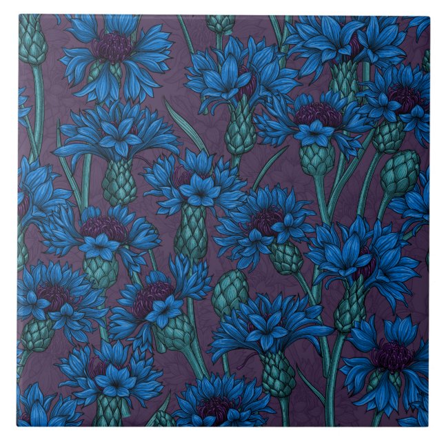 Blue cornflowers, wild flowers tile (Front)