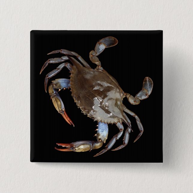 Blue Crab 15 Cm Square Badge (Front)