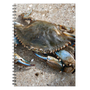 Blue Crab Crawling Notebook