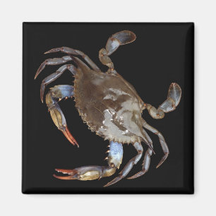 Blue Crab Magnet