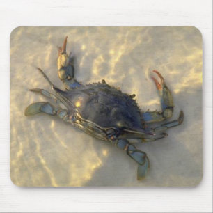 Blue Crab Mouse Pad