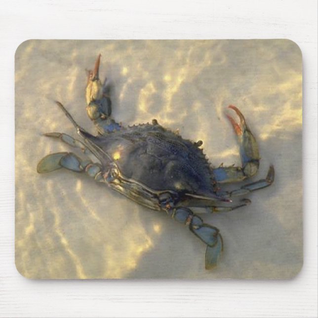 Blue Crab Mouse Pad (Front)