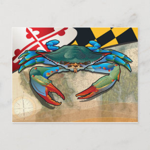 Blue Crab of Maryland Postcard