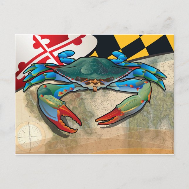 Blue Crab of Maryland Postcard (Front)