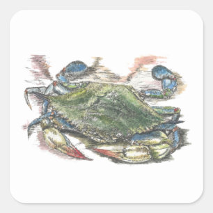 Blue Crab Square Sticker