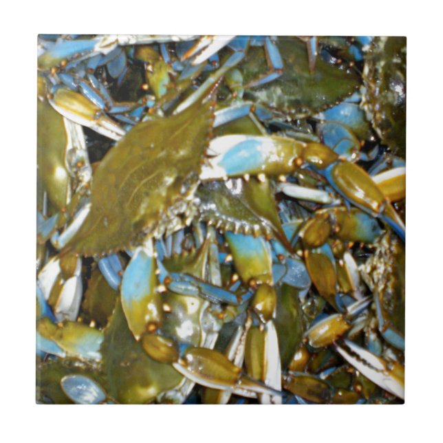 blue crab tile (Front)