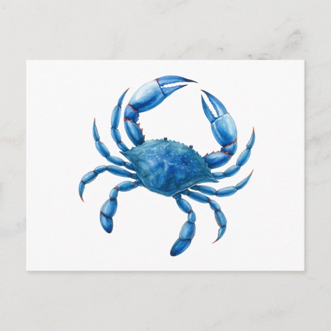 Blue Crab Watercolor Illustration - Ocean Sea Life Postcard (Front)