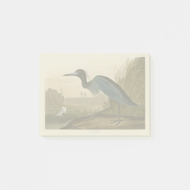 Blue Crane Heron Audubon Painting Post-it Notes (Front)