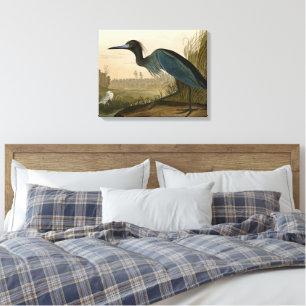Blue Crane Heron Audubon Print Coastal Art