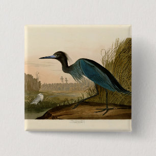 Blue Crane Heron Audubon Print Coastal Art 15 Cm Square Badge