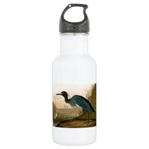 Blue Crane Heron Audubon Print Coastal Art 532 Ml Water Bottle