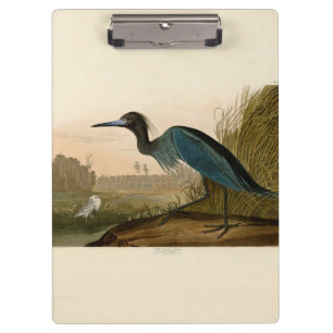 Blue Crane Heron Audubon Print Coastal Art Clipboard