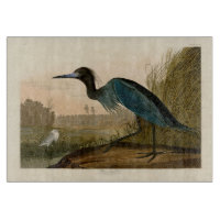 Blue Crane Heron Audubon Print Coastal Art