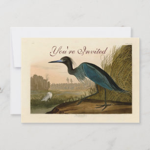 Blue Crane Heron Audubon Print Coastal Art Invitation