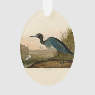 Blue Crane Heron Audubon Print Coastal Art Ornament