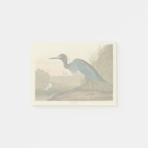 Blue Crane Heron Audubon Print Coastal Art Post-it Notes