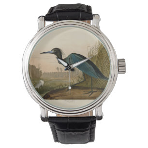 Blue Crane Heron Audubon Print Coastal Art Watch