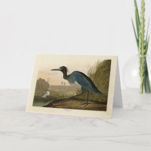 Blue Crane, Heron, from Audubon's Birds of America Card
