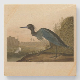 Blue Crane, Heron, from Audubon's Birds of America Stone Coaster