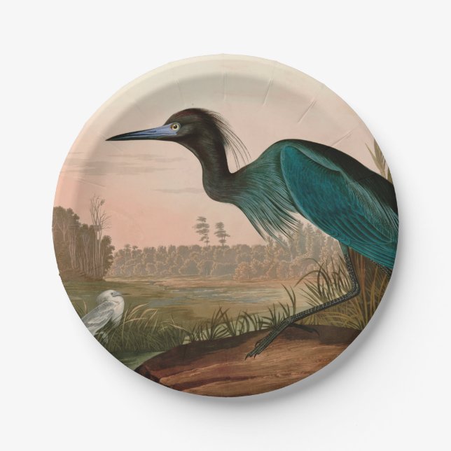 Blue Crane or Heron Birds of America Audubon Print Paper Plate (Front)