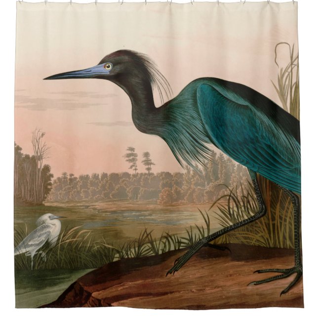 Blue Crane or Heron Birds of America Audubon Print Shower Curtain (Front)