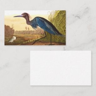 Blue Crane or Heron by John James Audubon Business Card