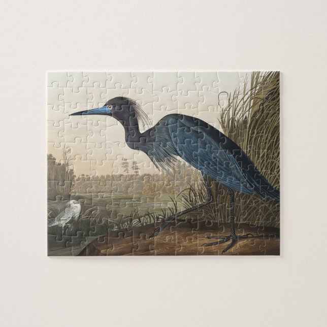 Blue Crane or Heron from Birds of America Jigsaw Puzzle (Horizontal)