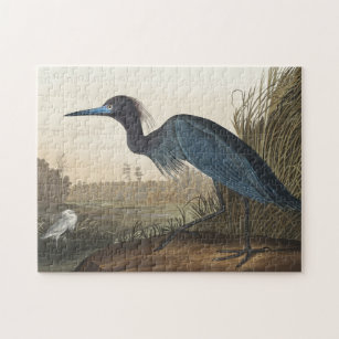 Blue Crane or Heron from Birds of America Jigsaw Puzzle