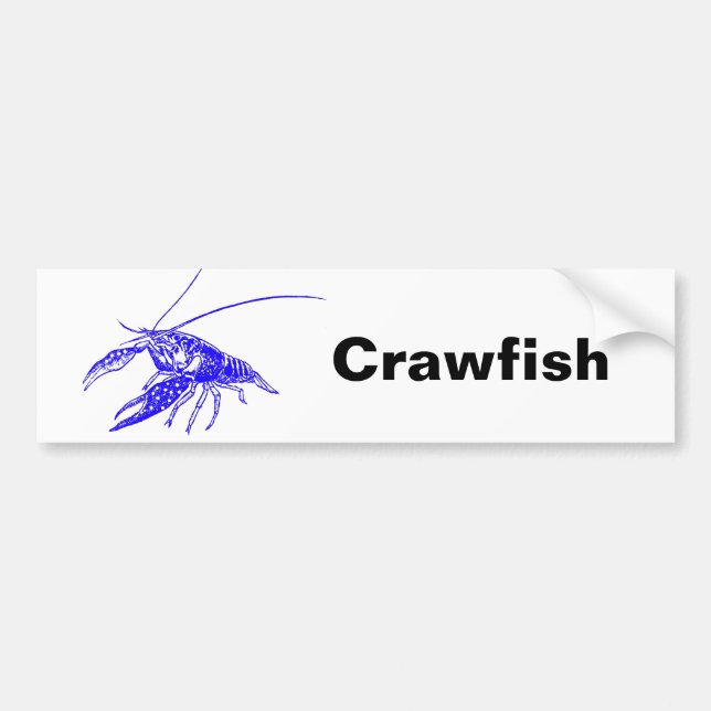 blue crayfish bumper sticker (Front)