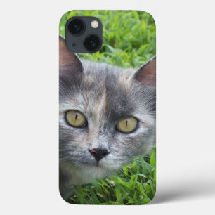 Blue Cream -Tortie Kitty iPad Case